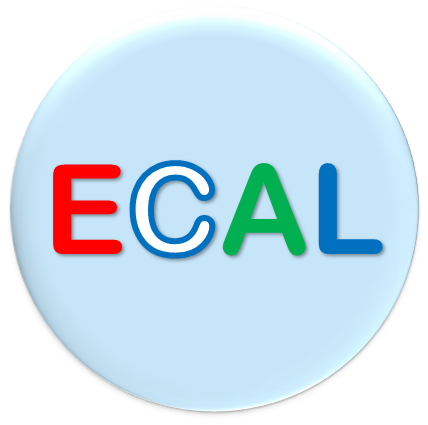OSS-ECAL Chinese